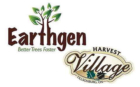 EarthGen, Village Harvest