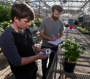 HESIC Research assistants testing plants in research greenhouse.