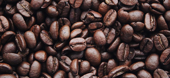 http://coffee%20beans