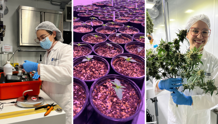 HESIC researchers working on 4Plant projects