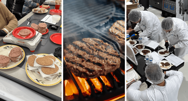 Collage of images of burger patties that the Food and Beverage Innovation Centre worked on