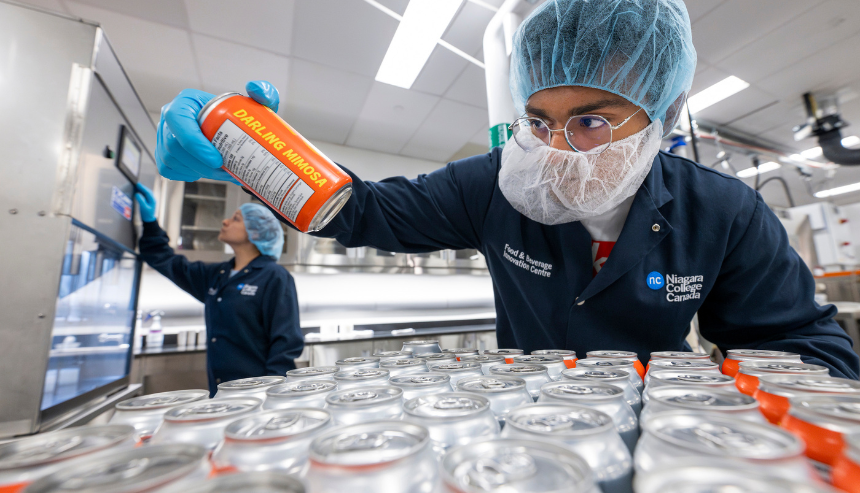 Staff prepare cans for small-batch production runs on the upgraded automated canning line at Niagara College’s Beverage Pilot Plant