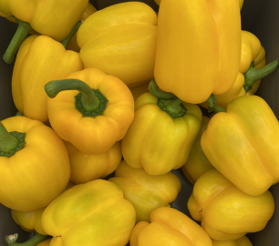 Yellow Bell Peppers