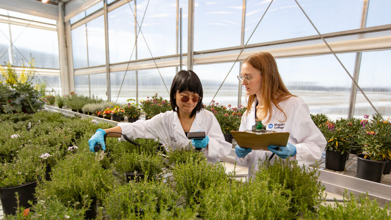 http://HESIC%20researchers%20inspecting%20flower%20plants%20in%20greenhouse.