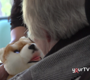 Watch: Fins, Feathers and Fur initiative featured on YourTv
